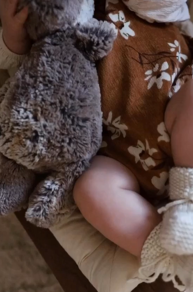 Charlie Crane ベビーバウンサー｜Babywippe LEVO Walnut｜Organic Milk