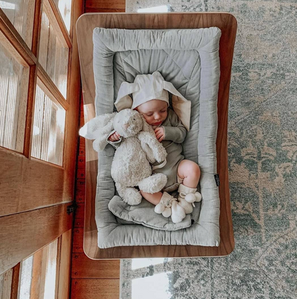 Charlie Crane ベビーバウンサー｜Babywippe LEVO Walnut｜Farrow