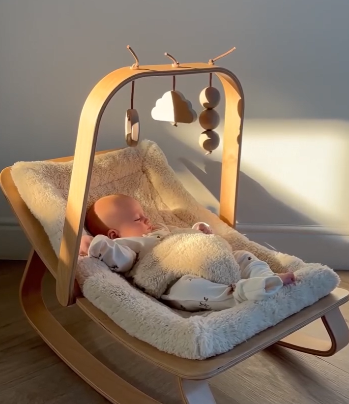 Charlie Crane バウンサースペアシート ４design｜Babywippe LEVO 専用シート
