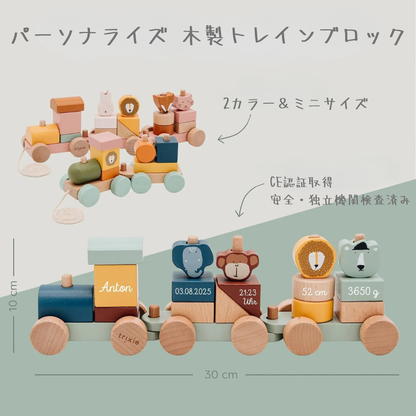 trixie  木製トレインブロック  名入れ・誕生日入り｜3デザイン　記念フォトに映える！